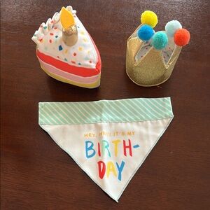 Target Birthday Dog Bandana and Hat Set - Multicolor